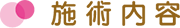 施術内容